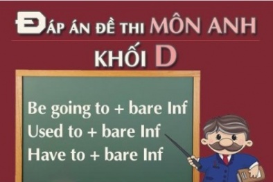 Đáp án đề thi cao đẳng môn Tiếng Anh khối D năm 2014